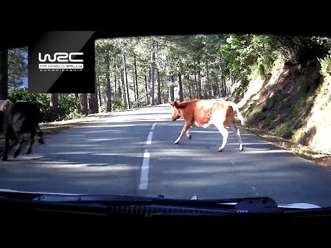 WRC - Corsica linea - Tour de Corse 2019: Top 5 Moments