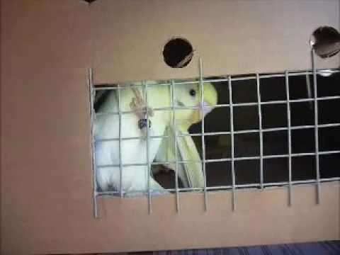 2017 07 11 Ein letzter Boxenblick