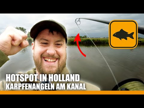 Erfolgreich Karpfenangeln am Kanal 🐟🤩 TIPPS & SPOTS in Holland 👈