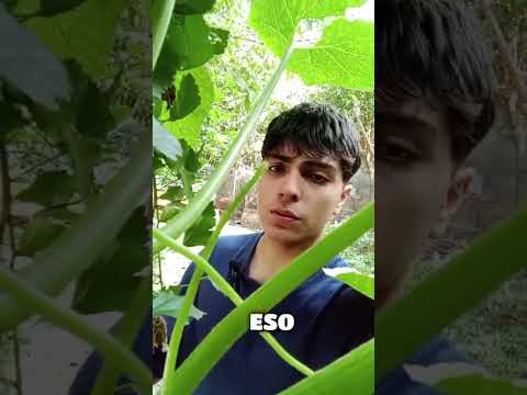 ¿Vos qué opinás? #argentina #avicultura #cordoba