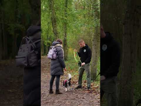Vidéo de présentation Thibdog'Educ par CBEN PROD