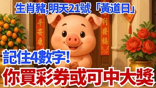 生肖豬注意！明天10月21號，農曆九月初一為「黃道日」，你的偏財旺！「這4個數字」一定要記住，買彩券或可中大獎！#生肖豬 #屬豬 #財運 #偏財 #幸運數字 #生肖運勢 #命理 #招財 #十二生肖