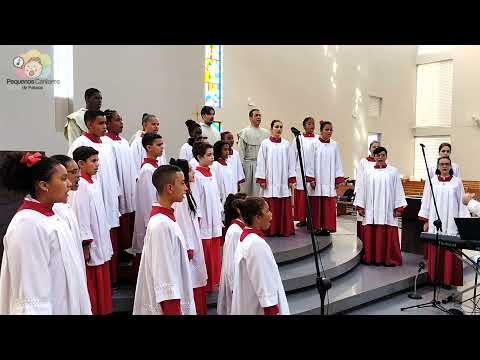 HAJA PAZ NA TERRA - Sy Miller and Jill Jackson - Coral Pequenos Cantores de Passos