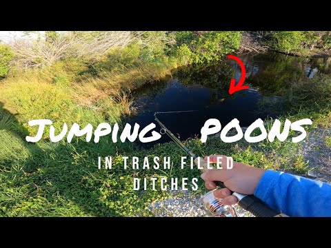 Fishing Ditches for Tarpon on YouTube