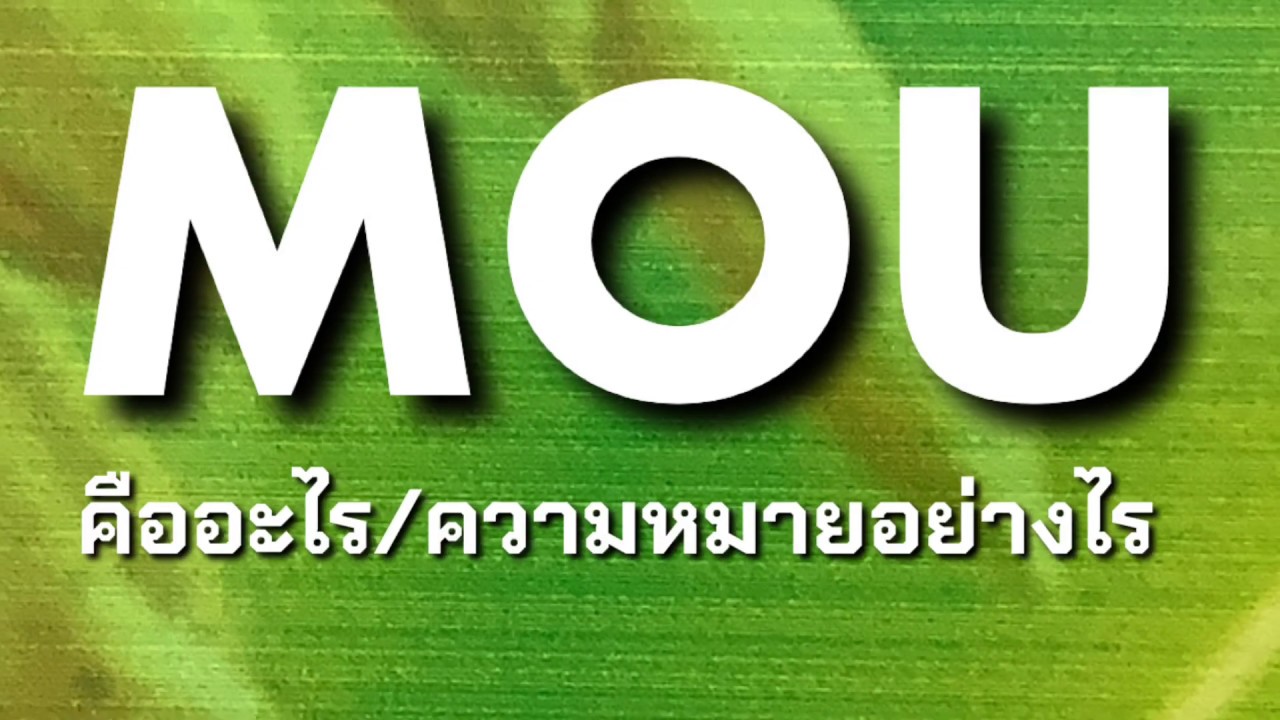 MOU : ความหมาย