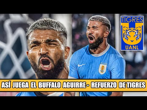 This is how Buffalo Aguirre plays: What nobody saw about Tigres' new signing