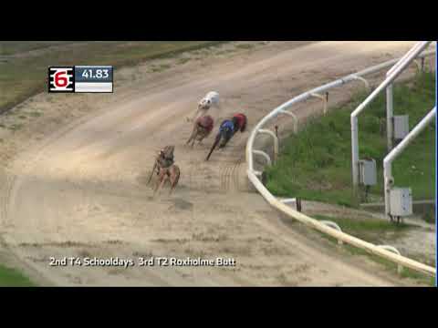 2020 CORAL REGENCY - HEAT 4 - T6 SOUTHFIELD CODE