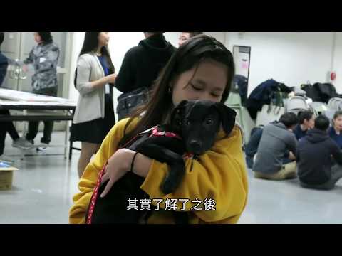 「浪」牠告訴你 尊重生命從教育開始