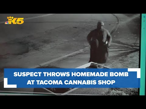 Suspect throws homemade bomb at Tacoma cannabis shop