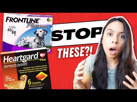 Veterinarian Shares the LATEST Warnings on Flea/Tick & Heartworm Meds!