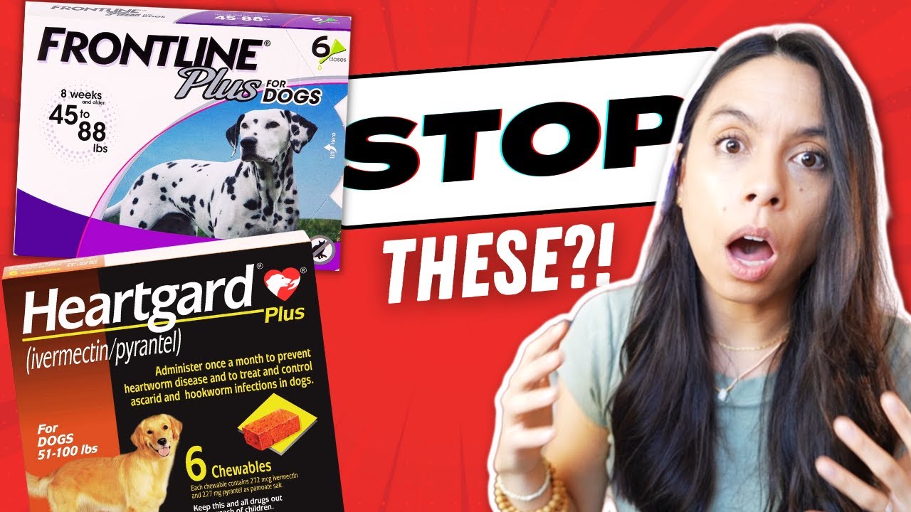 Veterinarian Shares the LATEST Warnings on Flea/Tick & Heartworm Meds!