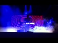 Panda Bear Selfish Gene