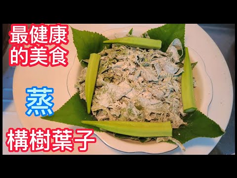 構樹葉