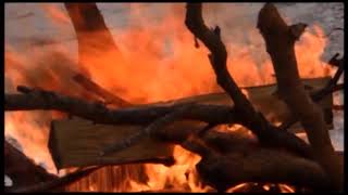 Особый противопожарный режим