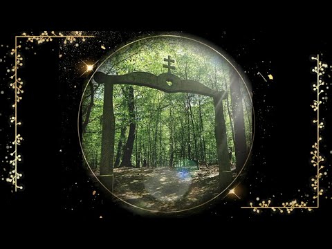 Bika és Nyilas, illetve Nyilas és Bika kapcsolatok - Csillagszerelem - Derita mNemos