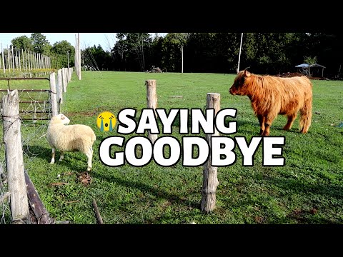 It's time to say goodbye.  Vlog 344