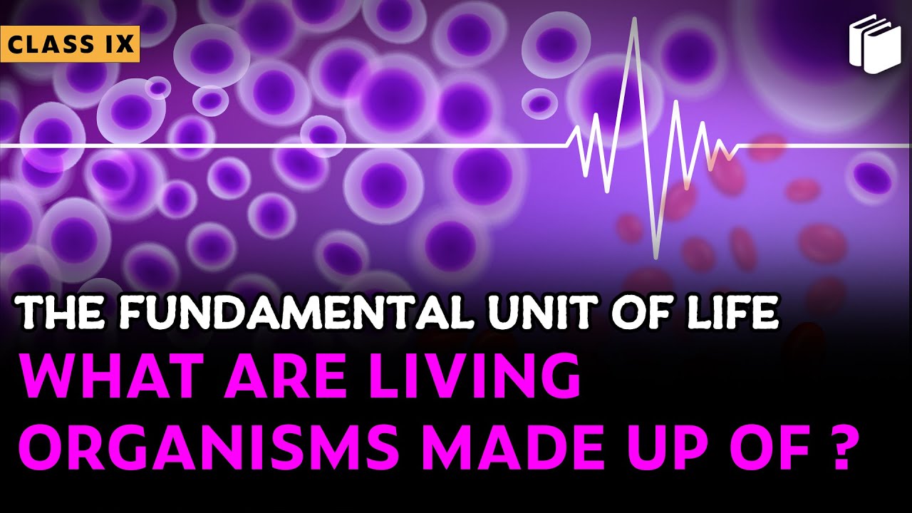 What are Living Organisms Made up of? | Chapter 5 | Class 9 | PuStack