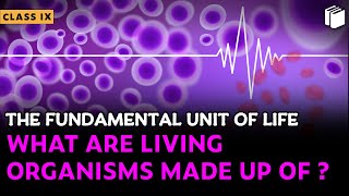 What are Living Organisms Made up of? | Chapter 5 | Class 9 | PuStack