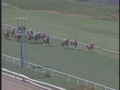 Hollywood American Oaks