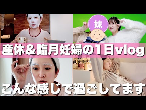 youtube-美容・ダイエット・健康記事2026/01/24 17:42:28