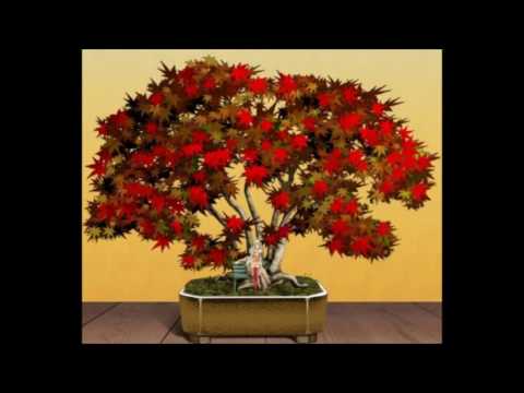 Martin Garrix & Mesto VS Dizzee Rascal & Calvin Harris - Wiepe(Mashup)