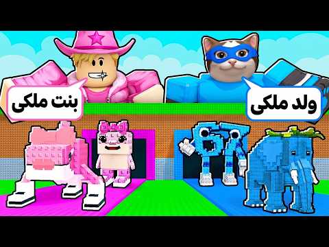 تحدي خبط على البرين روت! 😵لو طلع ولد ملكي ولو بنت ملك القطة لولو! 🐈🔥 الاولاد ولا البنات ينتصرون😱