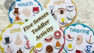 How to make Five Senses For Classroom Activity