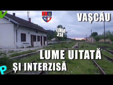 Vascau - Without a train here since 2020 and it can be seen, I was also warned that I filmed