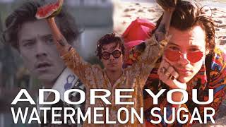 Cover art for AS IT WAS X WATERMELON SUGAR