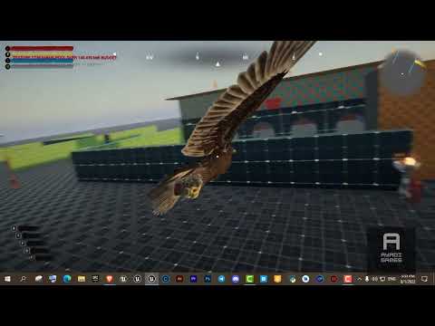 Eagle Vision | ATLAS Project | Unreal Engine 5 (UE5)