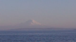 Kenny Anderson from &quot;April Fools&quot;