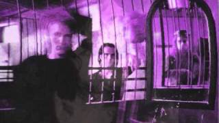 Skinny Puppy - Love In Vein (Remix)