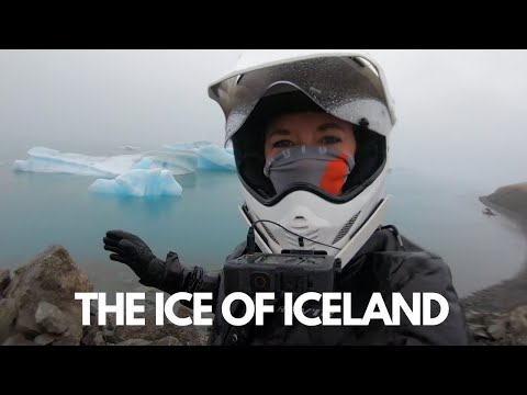 Spotting Wildlife in Iceland 🇮🇸  [S3 - Eps 14]