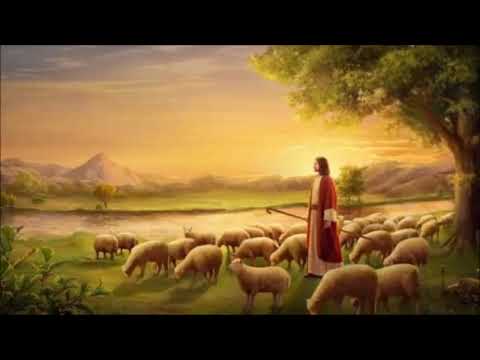 Aster Abebe Ayehu Fiker