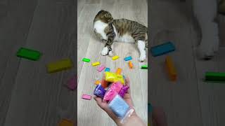 Funny Cat Barsik 🔥💖 Marbles Beads Balls 🔴 Reverse Video