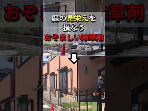 自家製の天然除草剤: 雑草との戦いに勝つための効果的なレシピの新しい部分  庭園