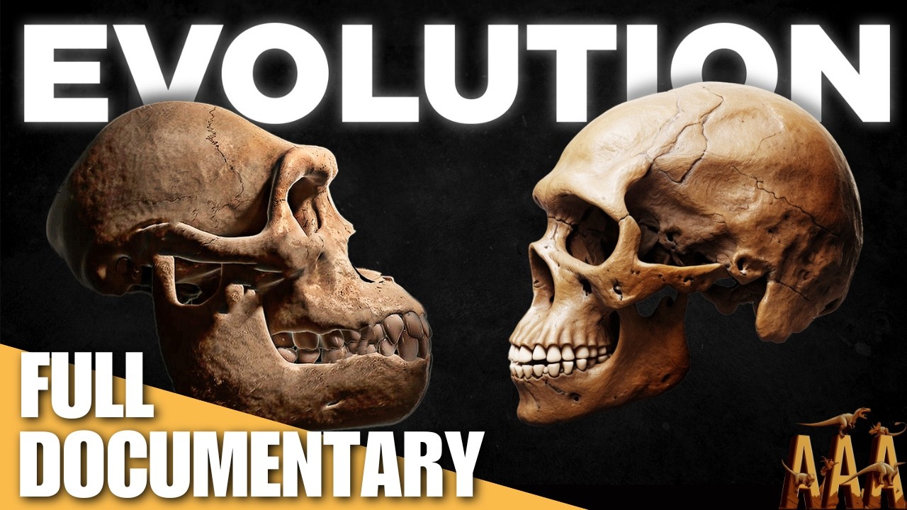 The Mind-Blowing Story of Human Evolution!