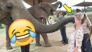 Best Funny Videos 🤣 - People Being Idiots | 😂 Try Not To Laugh - BY FunnyTime99 🏖️ #5