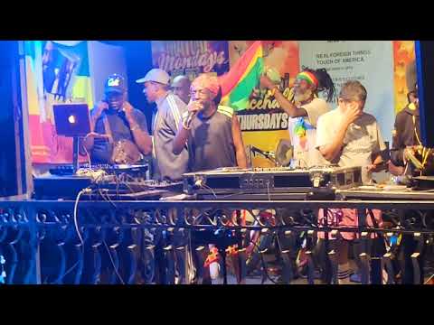 Snagga Puss  Clash Peter  Metro