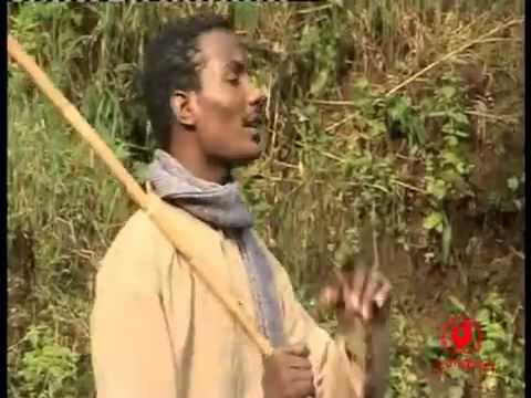 Araarsaa Gabbisaa   Yaamaakodii (Oromo Music)