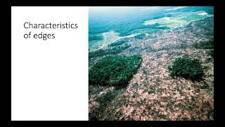 Habitat Fragmentation and Edge Habitats