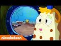 SpongeBob SquarePants | Juff Puff is niet klaar… | Nickelodeon Nederlands