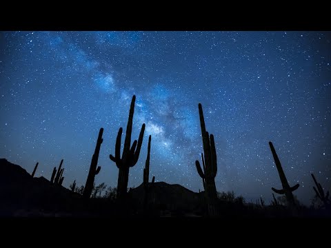Mojave Desert Night Sounds 🌵🌕 (30 Minutes)