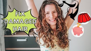 DIY Gelatin Treatment to Add Protein into Hair // How to and signs your hair needs protein