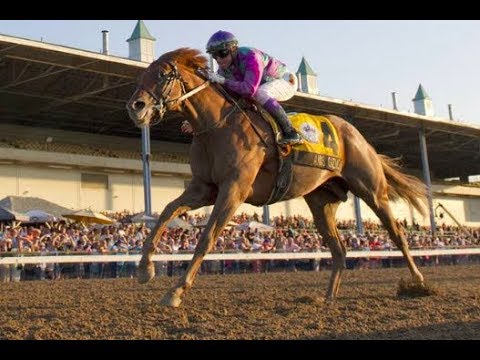 2016 Prince of Wales Stakes: Ami's Gizmo