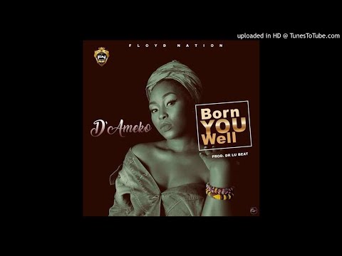 D'Ameko - Born You Well [Prod. Dr Lu Beat] (NEW MUSIC 2018)