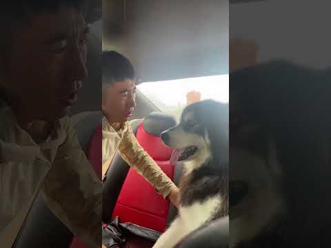 Is het een pleister?