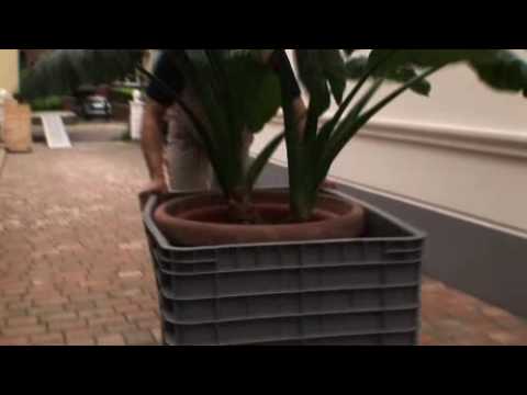 Umzugsunternehmen Hamburg - Internationale Möbelspedition Krügel Umzüge GmbH