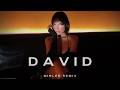 LORDE DAVID Minlee Remix UKG House