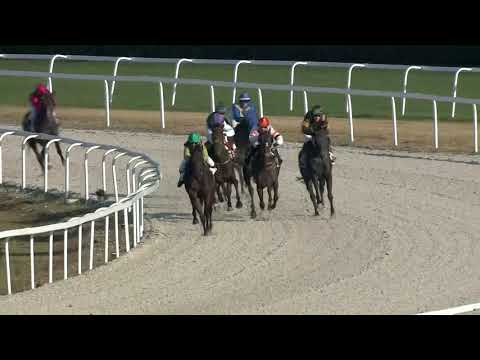 2018.10.14. 07. futam - AMATŐRVERSENY HENDIKEP (IV.o.) (szintetikus pálya)